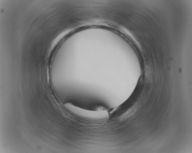 X0000079321320200612081924