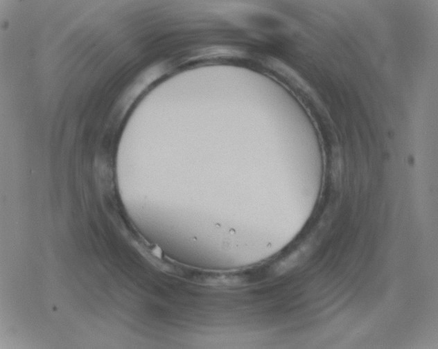 X0000079321321200612081924