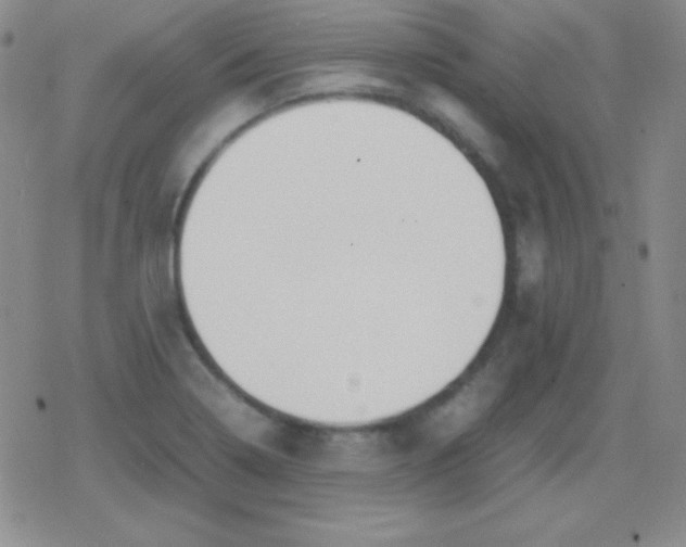 X0000079321322200612081924