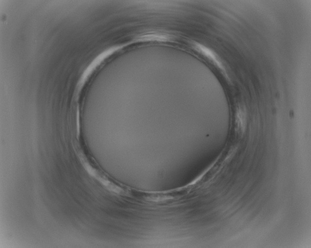 X0000079321323200612081924