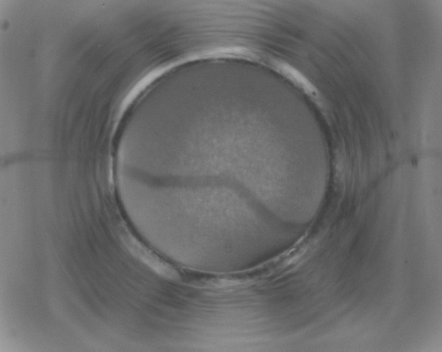 X0000079321324200612081924