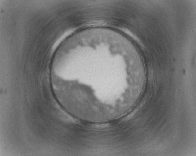 X0000079321325200612081924