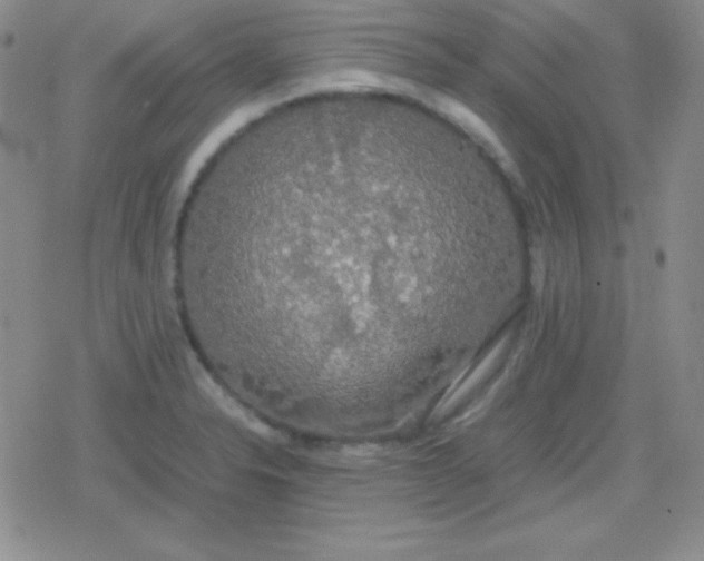 X0000079321326200612081924