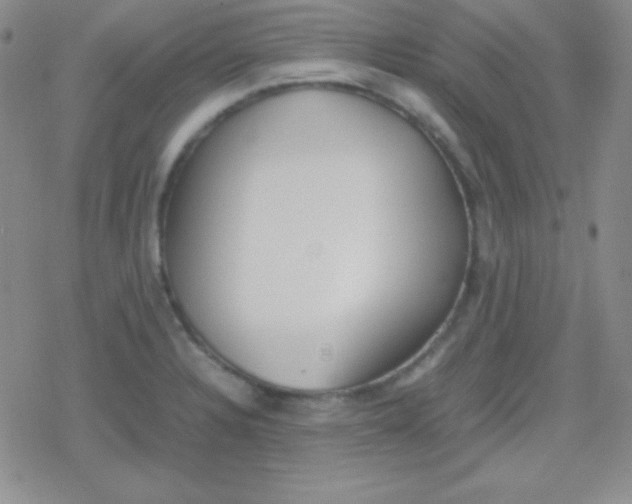 X0000079321328200612081924