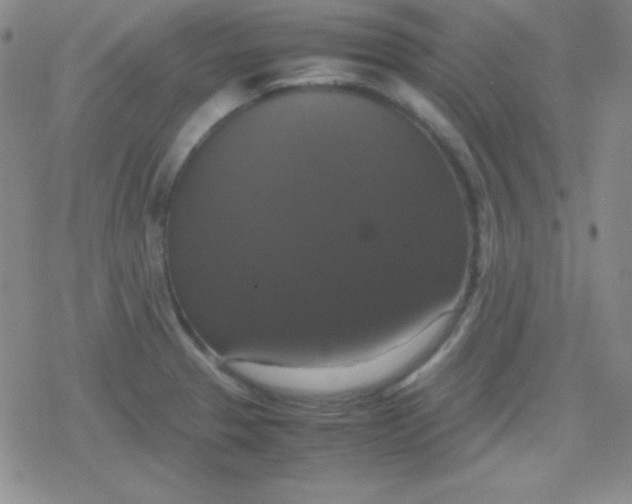 X0000079321329200612081924