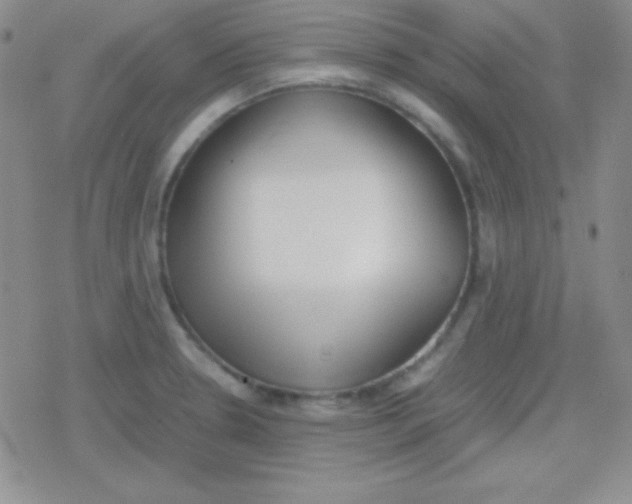 X0000079321330200612081924