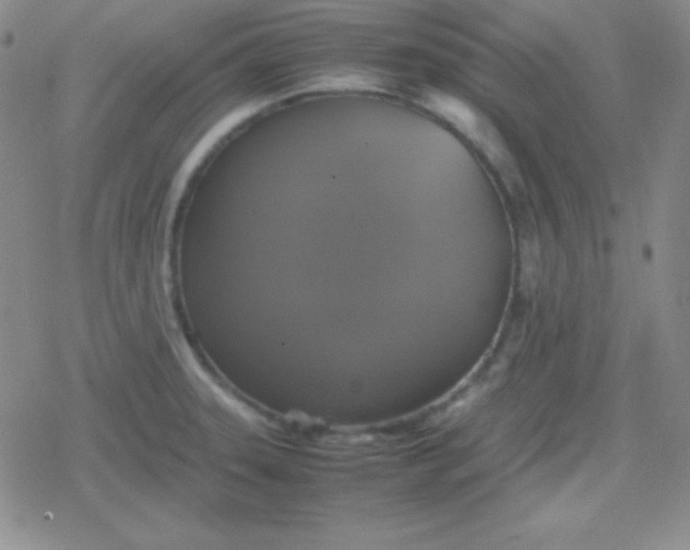 X0000079321331200612081924