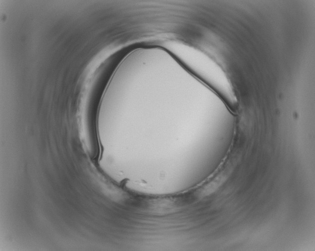 X0000079321332200612081924