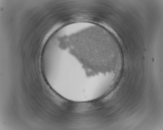 X0000079321333200612081924