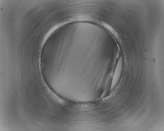 X0000079321334200612081924