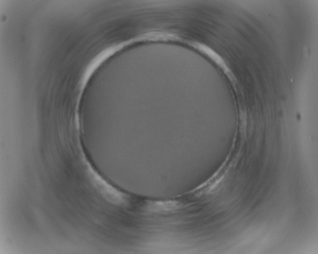 X0000079321335200612081924