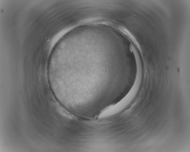 X0000079321336200612081924