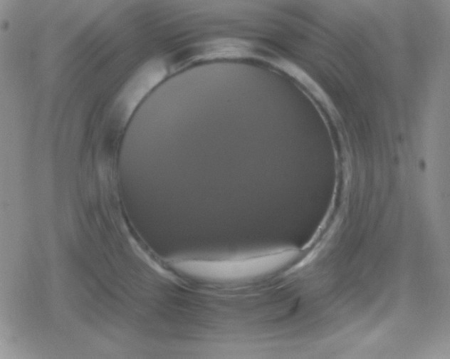 X0000079321337200612081924