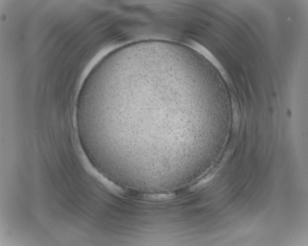 X0000079321339200612081924