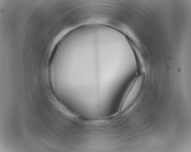 X0000079321340200612081924