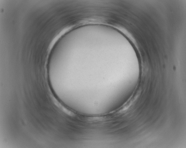 X0000079321341200612081924