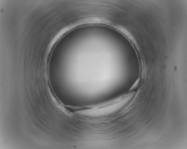 X0000079321342200612081925