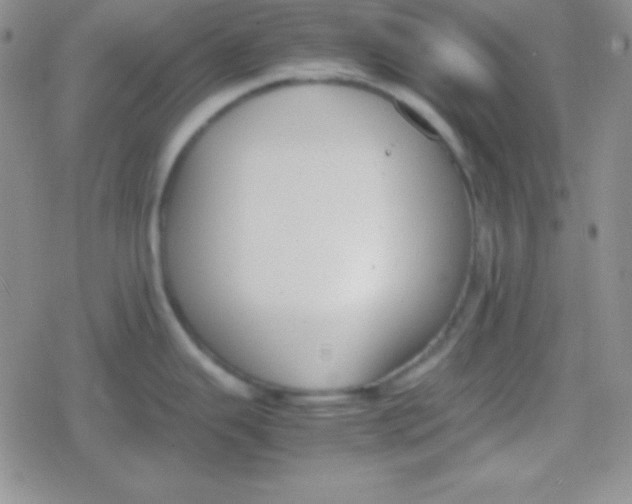 X0000079321343200612081925