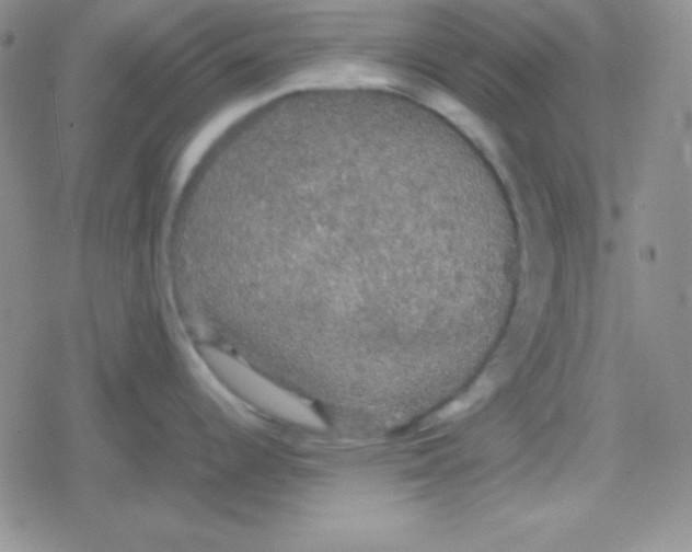 X0000079321344200612081925