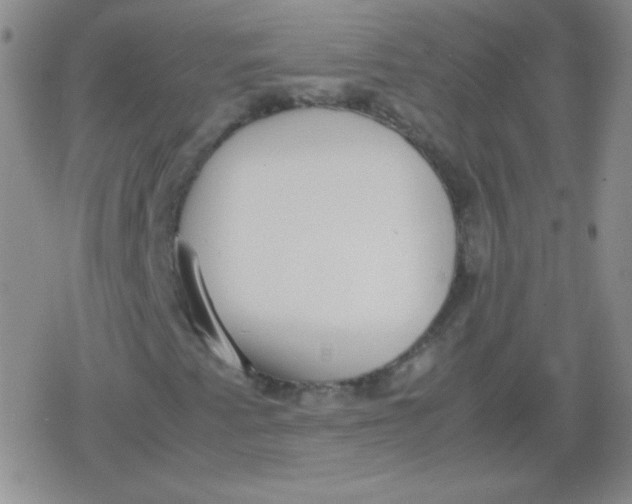 X0000079321345200612081924