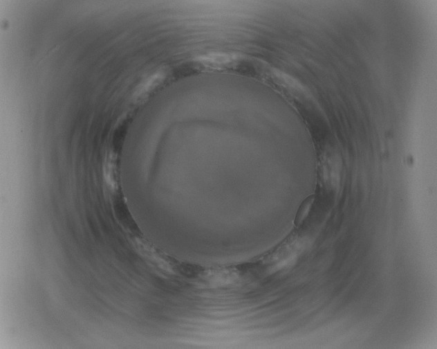 X0000079321346200612081924