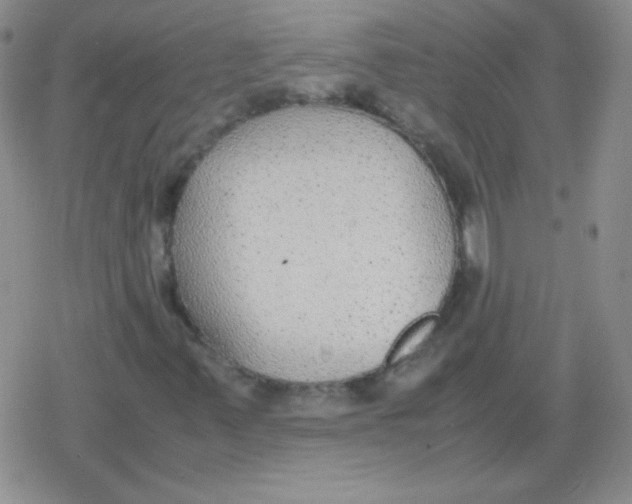 X0000079321347200612081924