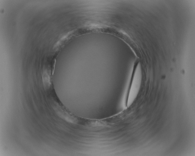 X0000079321348200612081924