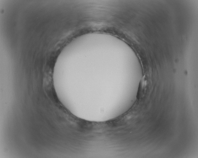 X0000079321349200612081924