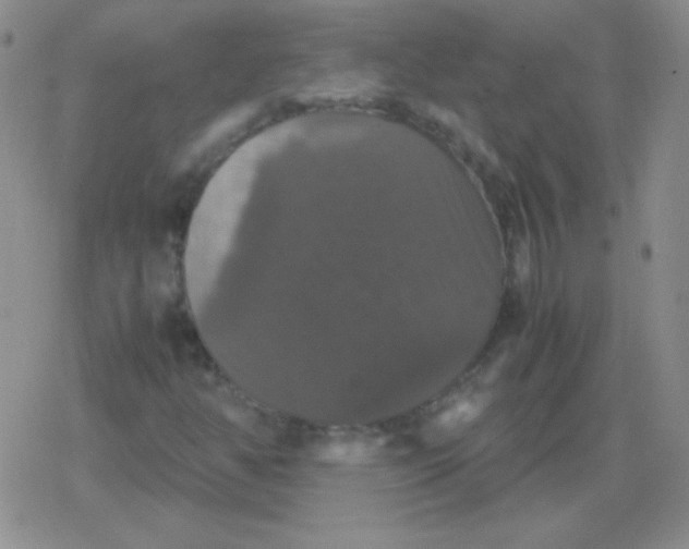 X0000079321350200612081924