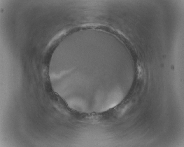 X0000079321351200612081924