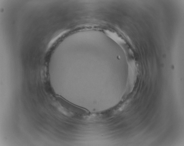 X0000079321352200612081924