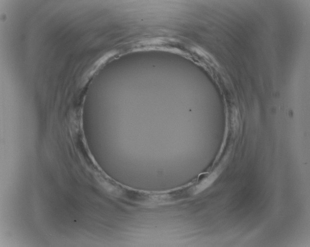 X0000079321353200612081924