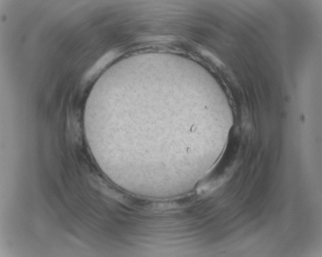 X0000079321354200612081924