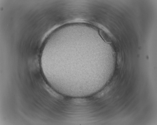 X0000079321356200612081924