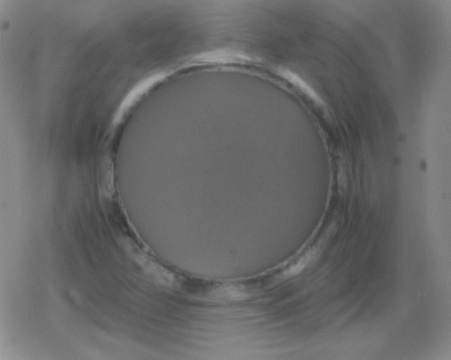 X0000079321358200612081924