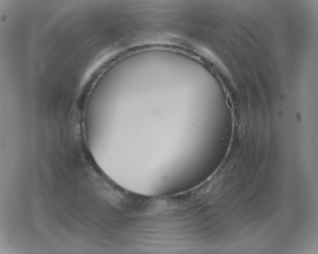 X0000079321360200612081924