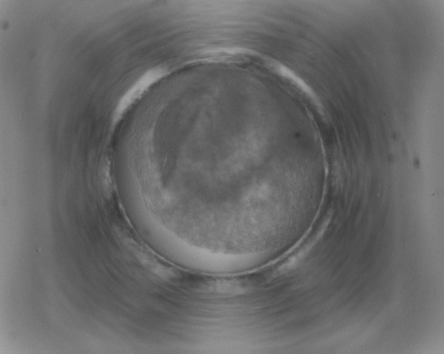 X0000079321362200612081923