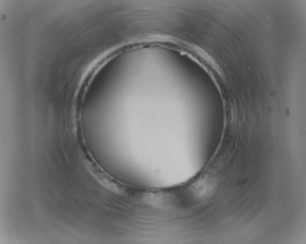 X0000079321364200612081923