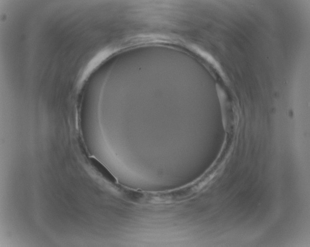 X0000079321365200612081923