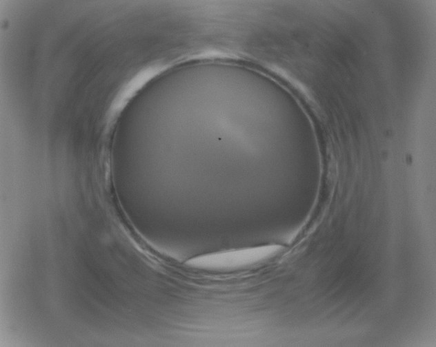 X0000079321367200612081923