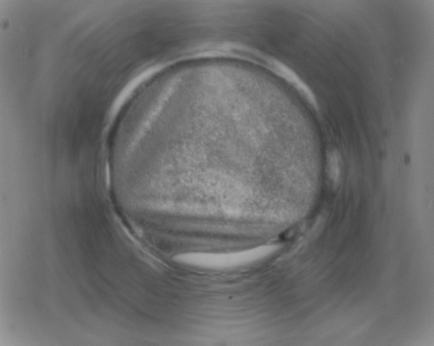 X0000079321368200612081923