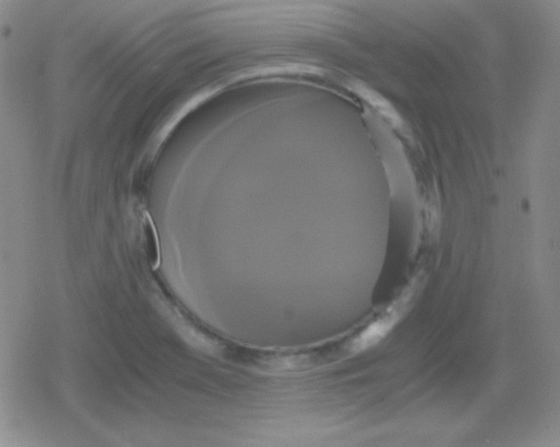 X0000079321369200612081923