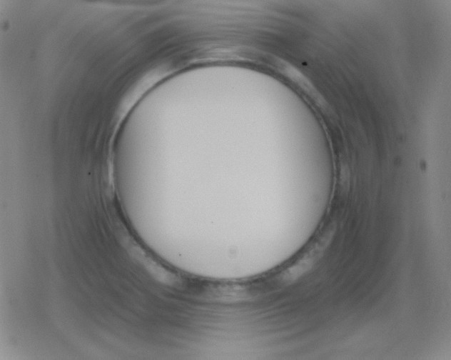 X0000079321370200612081923