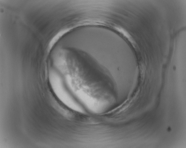 X0000079321371200612081923