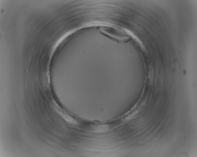 X0000079321372200612081923