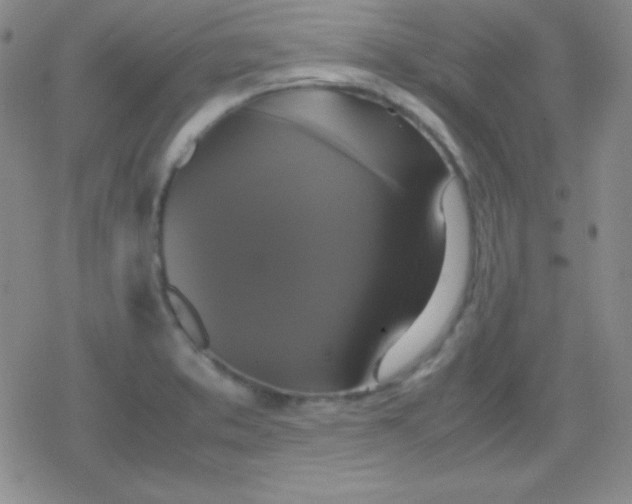 X0000079321373200612081923