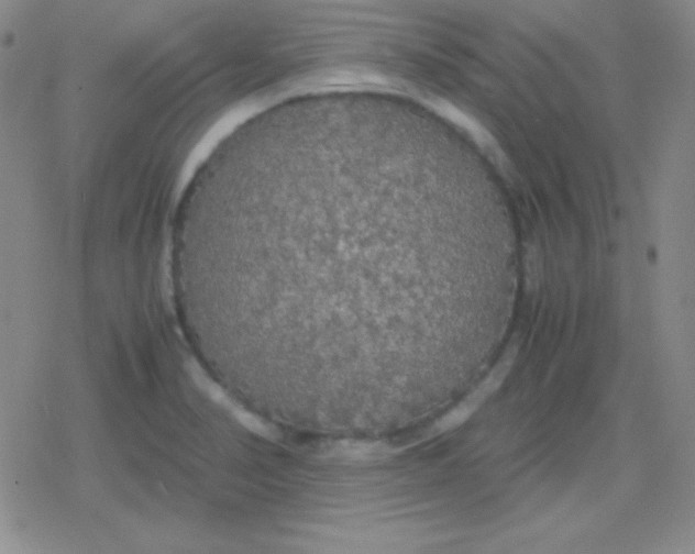 X0000079321374200612081923