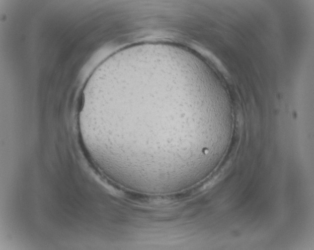 X0000079321375200612081923