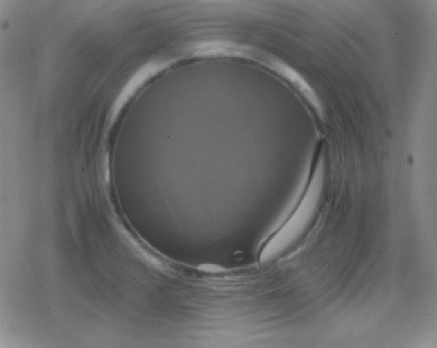 X0000079321376200612081923