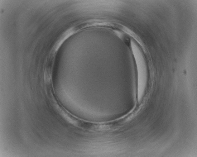 X0000079321377200612081923